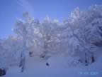 Sculture invernali (14kb)